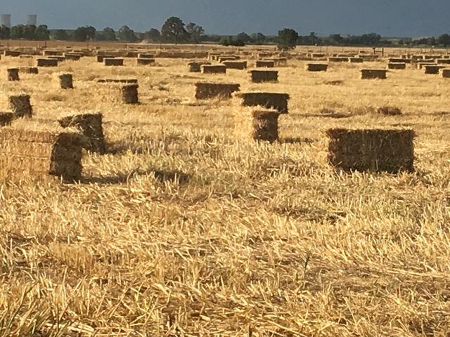 29266 Dry Creek Road Galt, CA 95632 - Photo 28 of 44 a view of water view
