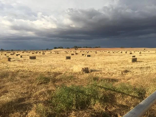 $1,850,000 | 29266 Dry Creek Road, Galt, CA 95632