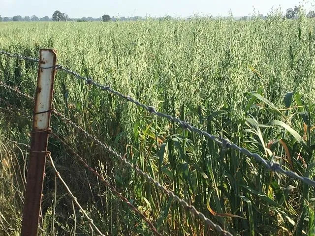 $1,850,000 | 29266 Dry Creek Road, Galt, CA 95632