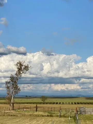 $1,850,000 | 29266 Dry Creek Road, Galt, CA 95632