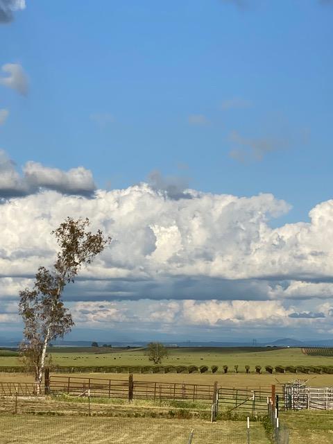 29266 Dry Creek Road Galt, CA 95632 - Photo 32 of 44