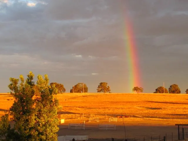 $1,850,000 | 29266 Dry Creek Road, Galt, CA 95632