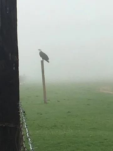 $1,850,000 | 29266 Dry Creek Road, Galt, CA 95632