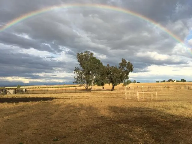 $1,850,000 | 29266 Dry Creek Road, Galt, CA 95632