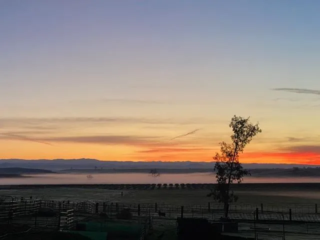 $1,850,000 | 29266 Dry Creek Road, Galt, CA 95632