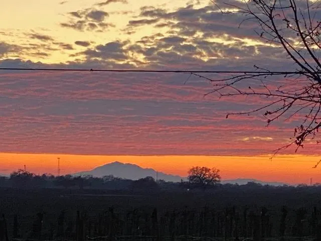 $1,850,000 | 29266 Dry Creek Road, Galt, CA 95632