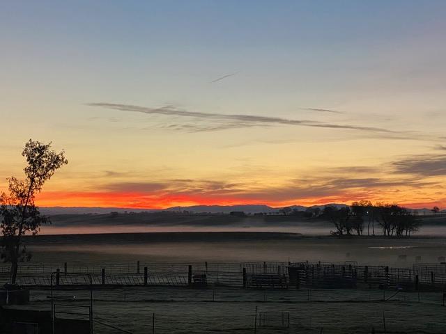 29266 Dry Creek Road Galt, CA 95632 - Photo 40 of 44