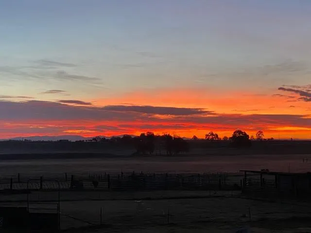 $1,850,000 | 29266 Dry Creek Road, Galt, CA 95632