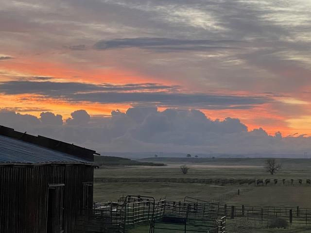 29266 Dry Creek Road Galt, CA 95632 - Photo 42 of 44 a view of an ocean and beach