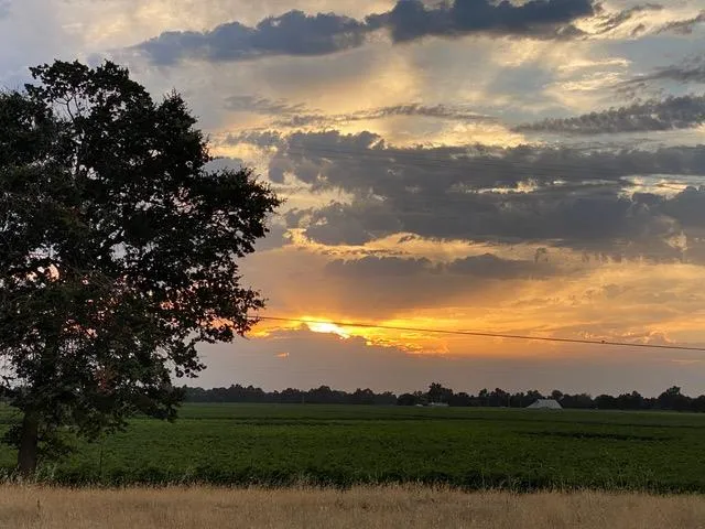 $1,850,000 | 29266 Dry Creek Road, Galt, CA 95632