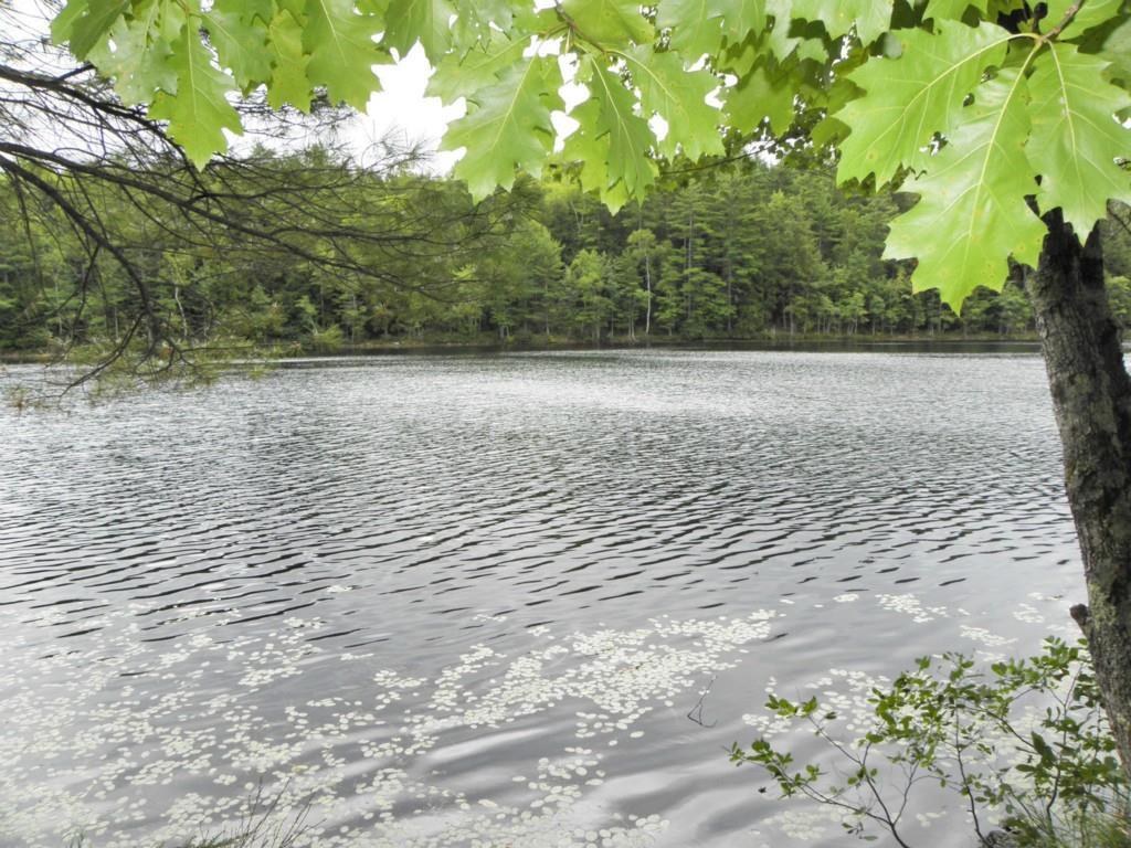 0 Colby Road Windsor, ME 04363 - Photo 10 of 10 Close to Augusta and the coast, the...