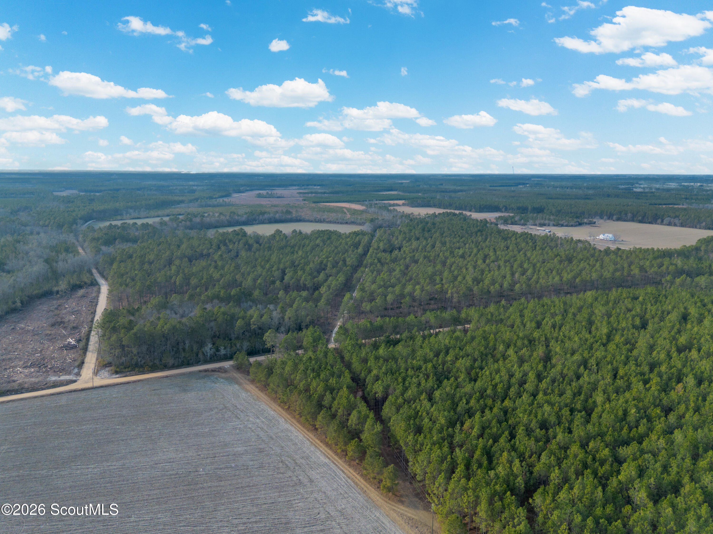 0 Reddish Road Odum, GA 31555 - Photo 2 of 46 230-AC-REDDISH-ODUM-2-A