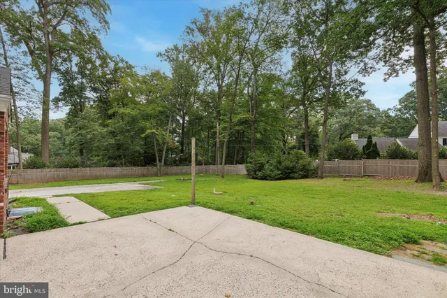 a view of a park and trees