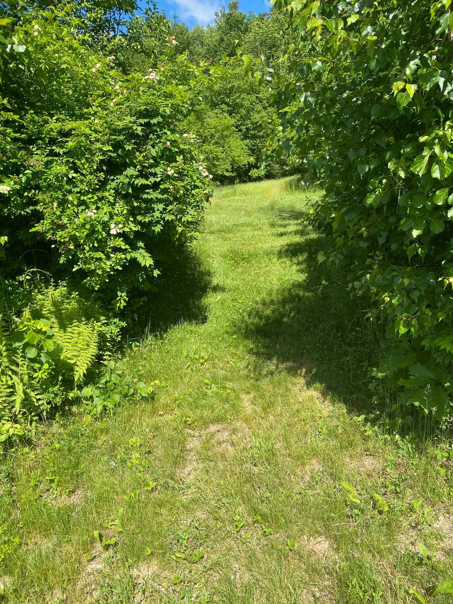 0 Gay Farm Road New London, NH 03257 - Photo 3 of 4