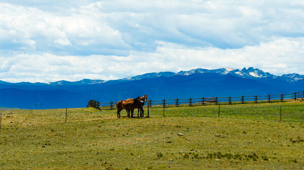 134 Beatty Spur Road Sheridan, WY 82801 - Photo 36 of 37 134266169734334254_134266169668159125_13