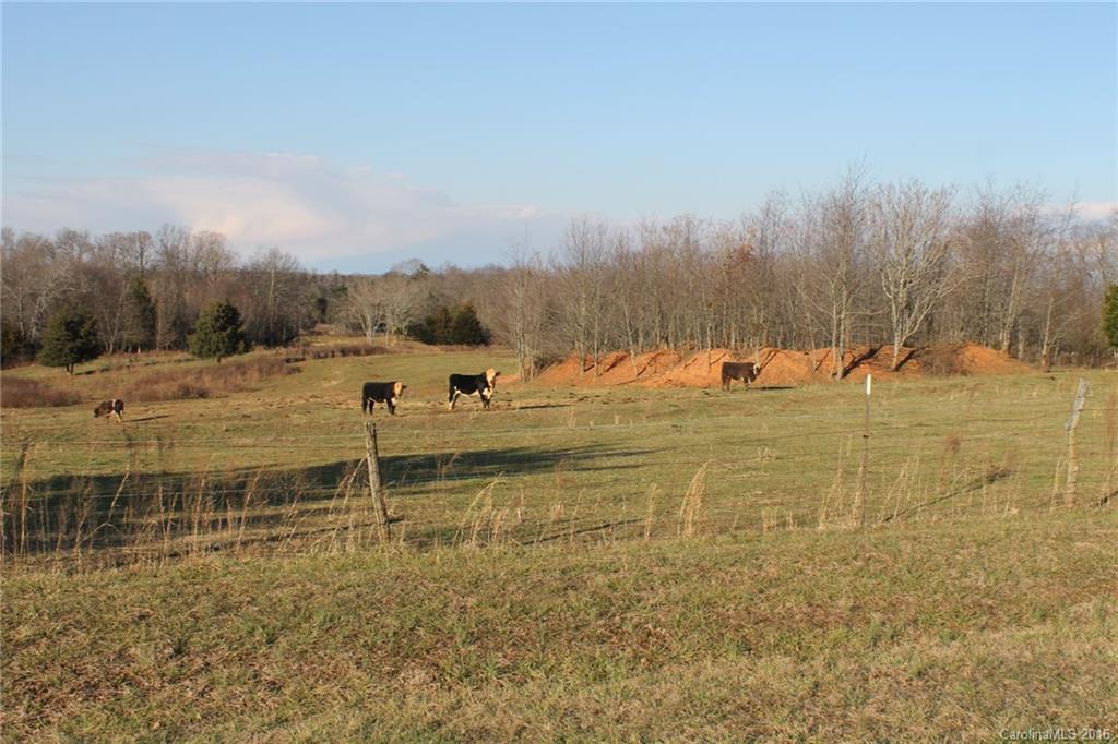 12 Butler Mill Road Harmony, NC 28634 - Photo 7 of 11 Gallery Image 7