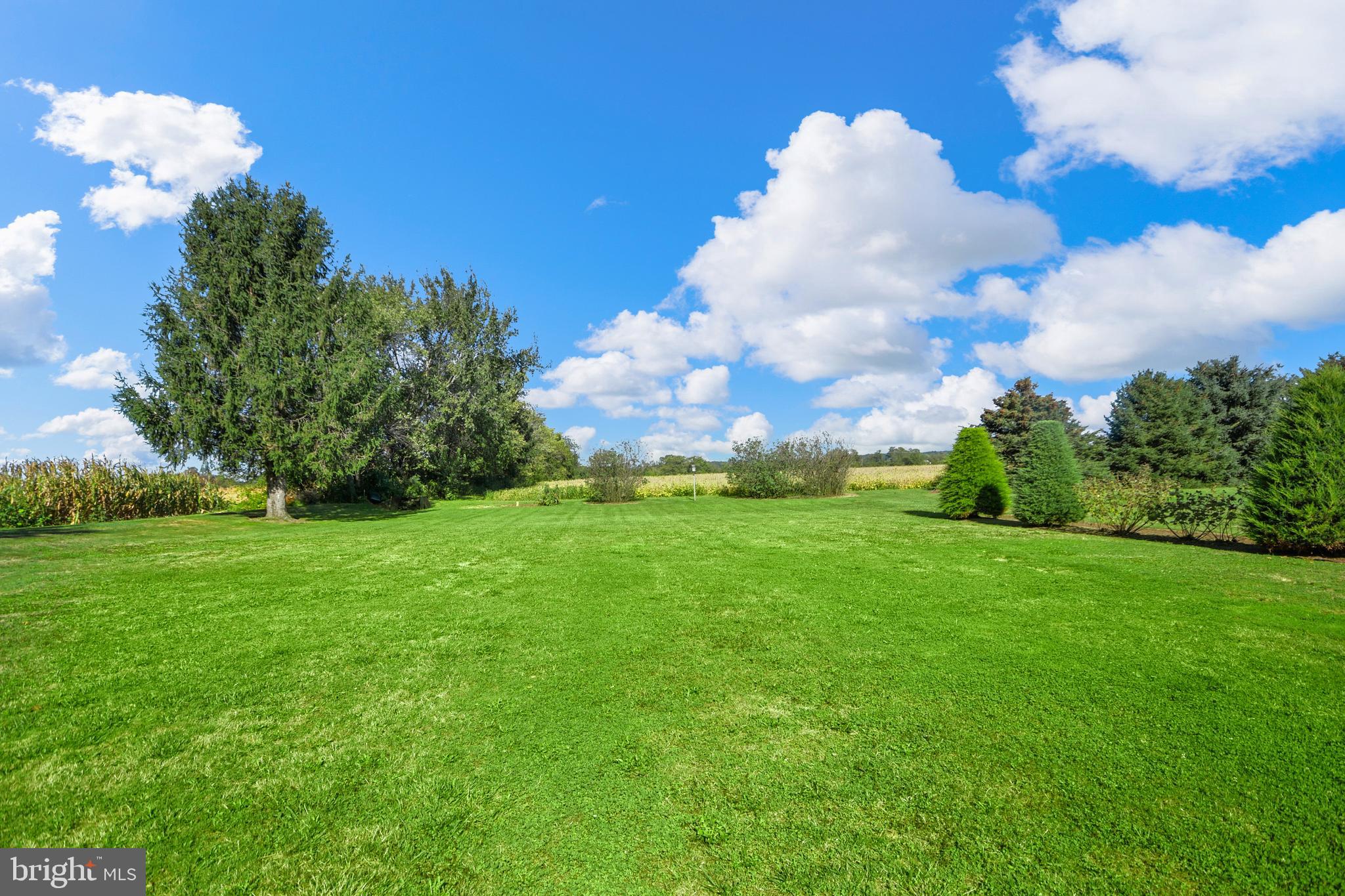 1434 Honda Road Hanover, PA 17331 - Photo 9 of 45 Flat Rear Yard