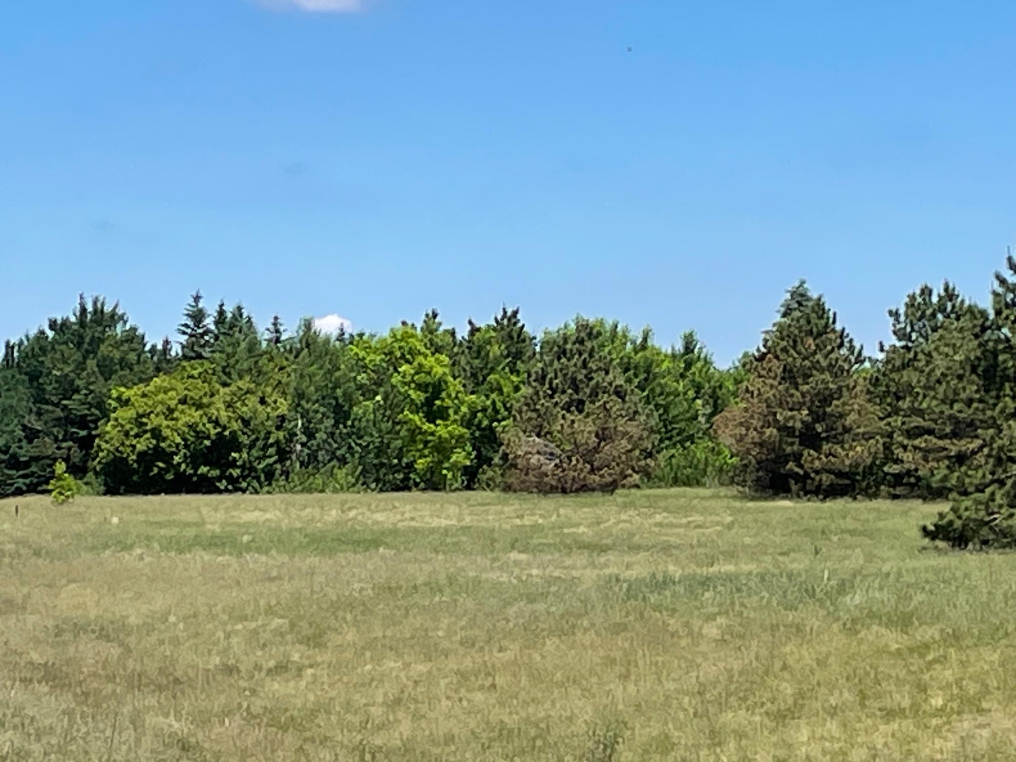Tbd Turtle Creek Circle Cold Spring, MN 56320 - Photo 15 of 16