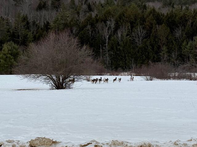 33 Buck Road Bryant Pond, ME 04219 - Photo 10 of 11 IMG_2986