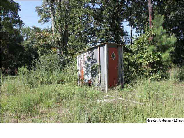 619 County Road, Unit 59 5AC Woodland, AL 36280 - Photo 8 of 13