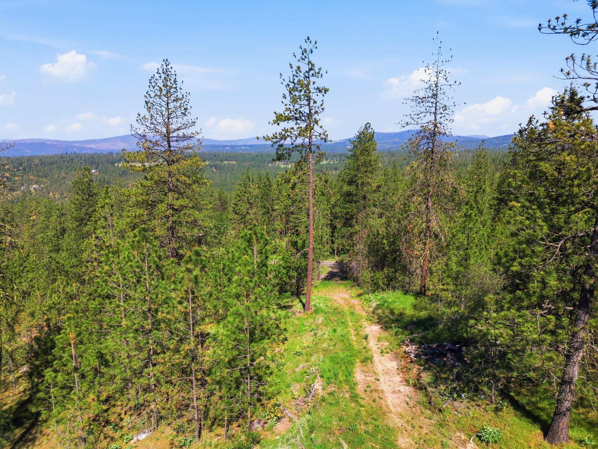 Nka Weaver Road, Unit LOT D Deer Park, WA 99006 - Photo 5 of 20