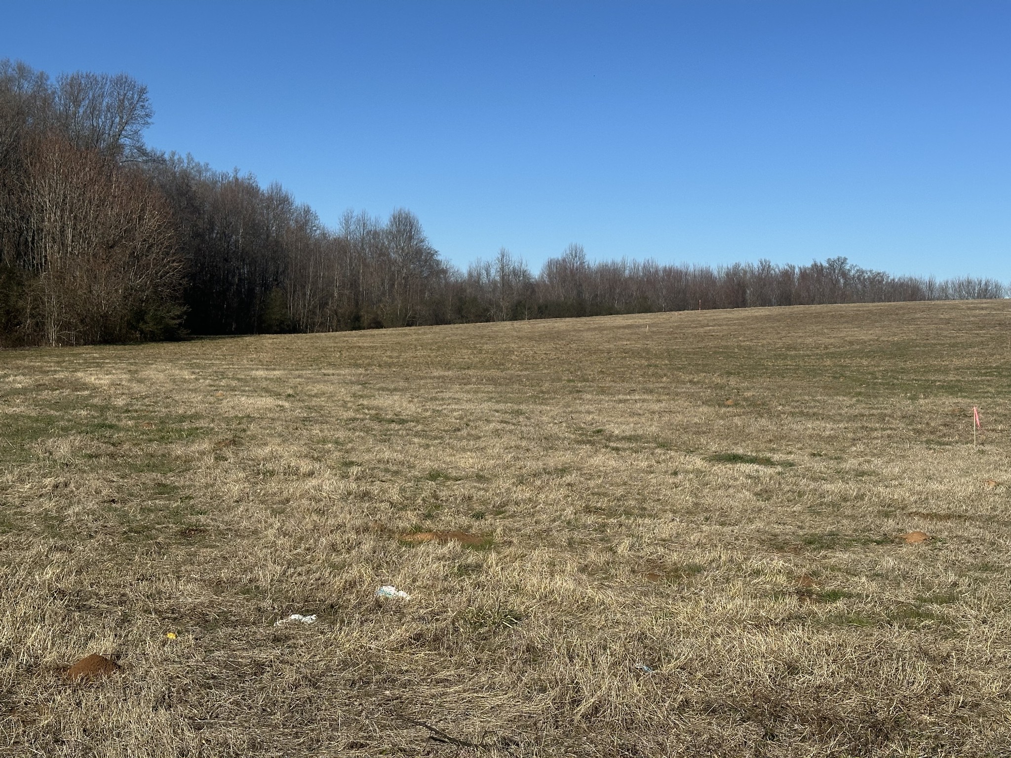 0 Gum Springs Mountain Road Sparta, TN 38583 - Photo 3 of 13 a view of lake view and mountain view