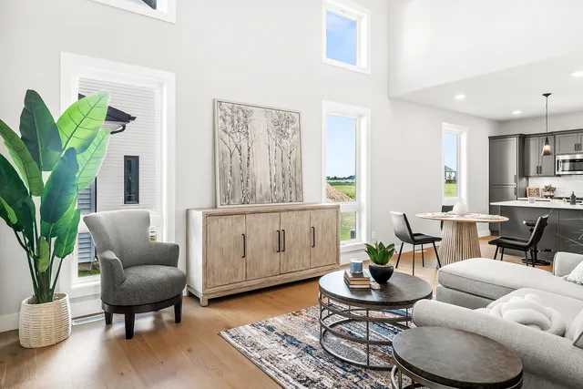 a living room with furniture a rug and a potted plant