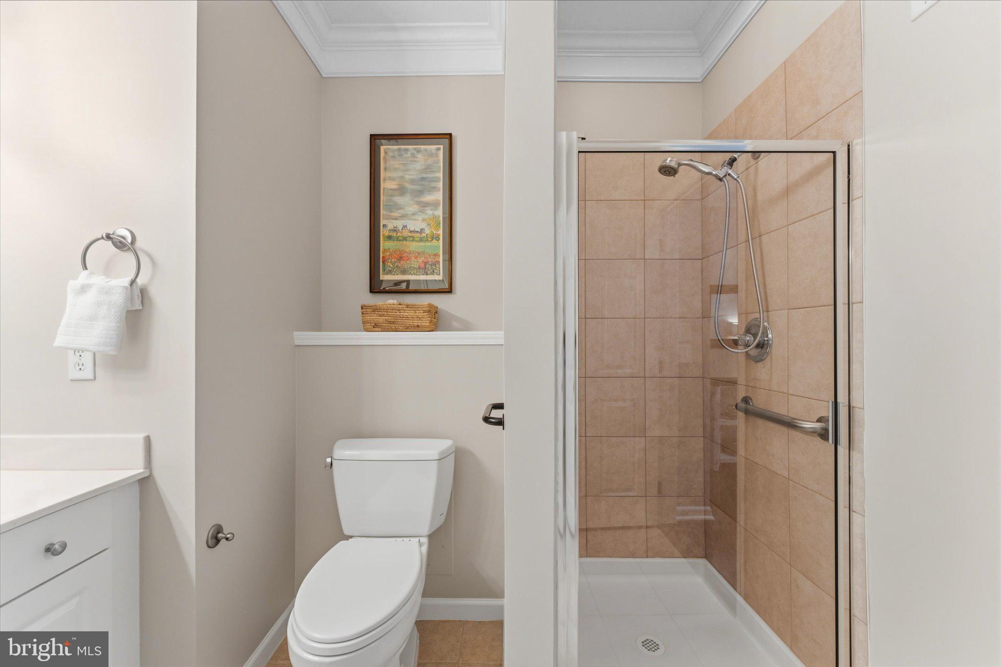 503 Sunset View Terrace Southeast, Unit 101 Leesburg, VA 20175 - Photo 20 of 39 Modern bathroom with elegant finishes.