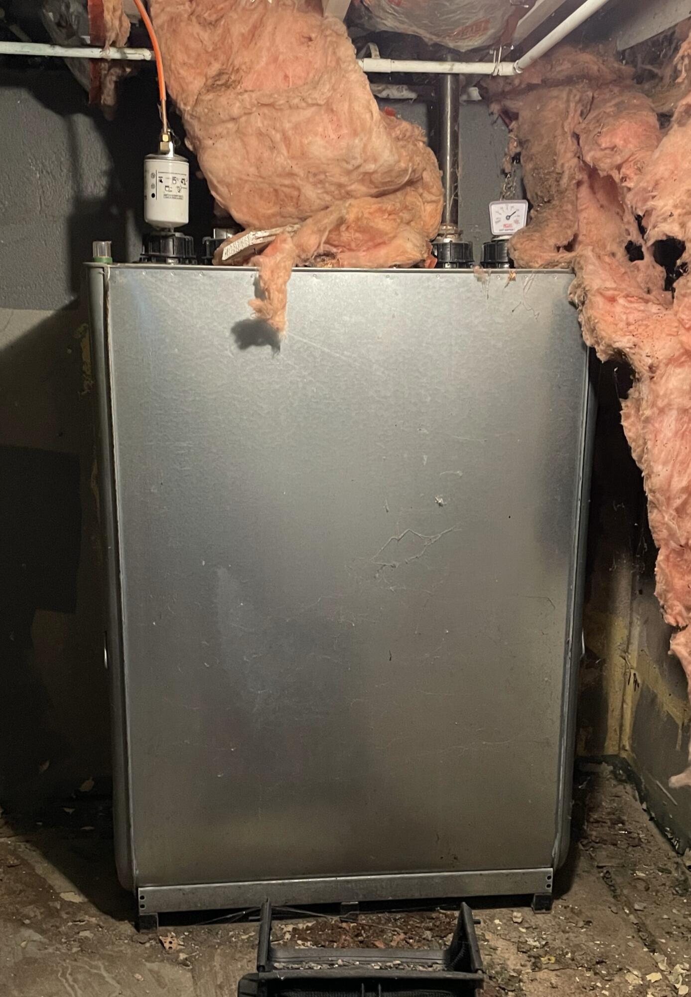 77 Edgewood Avenue Portland, ME 04103 - Photo 10 of 16 IMG_4507