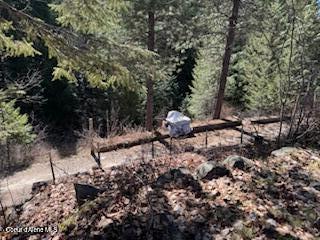 476 Clinton Avenue Coolin, ID 83821 - Photo 25 of 29 Lower driveway