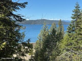 476 Clinton Avenue Coolin, ID 83821 - Photo 4 of 29 Lake view