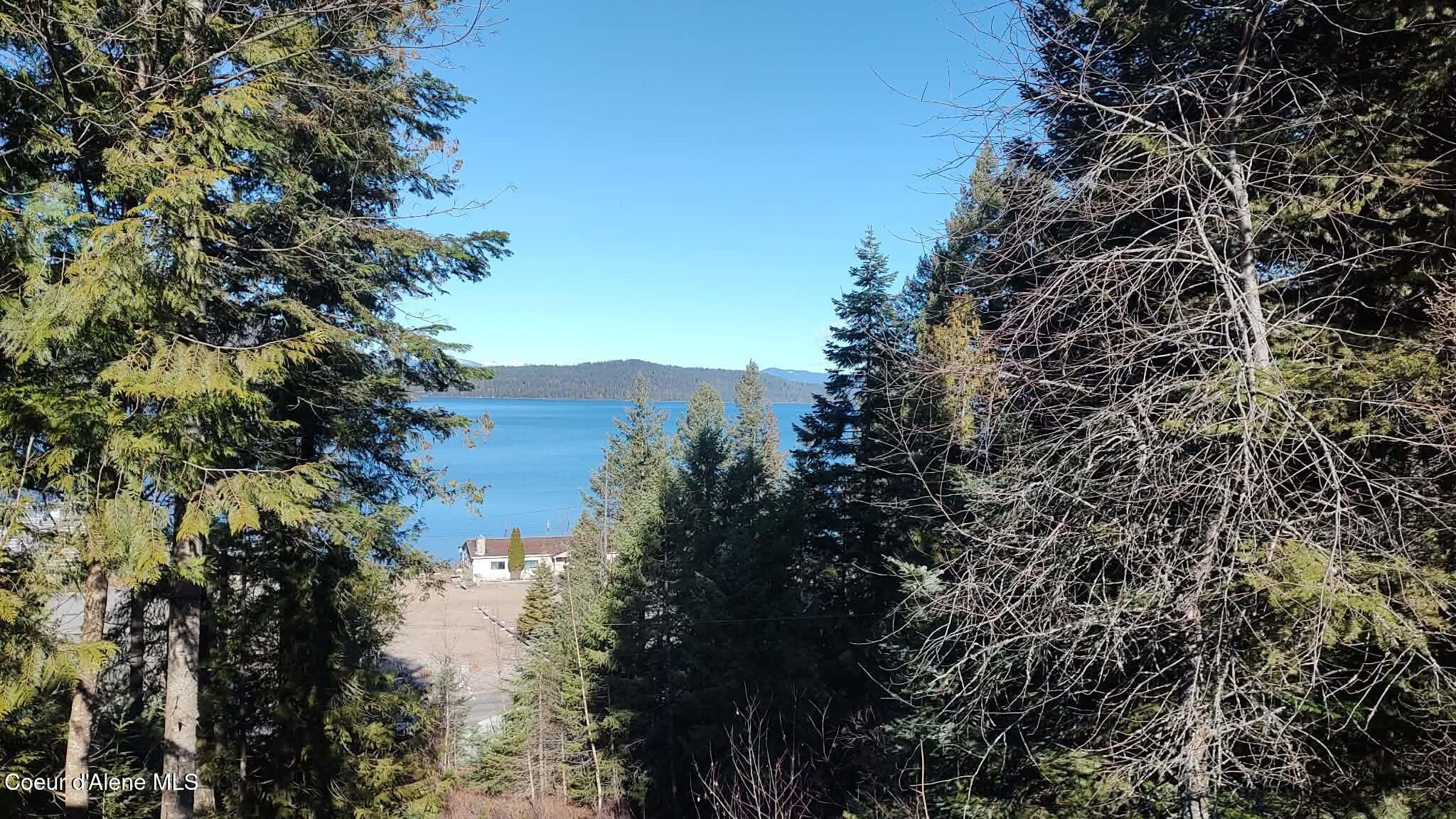 476 Clinton Avenue Coolin, ID 83821 - Photo 5 of 35 View from living room
