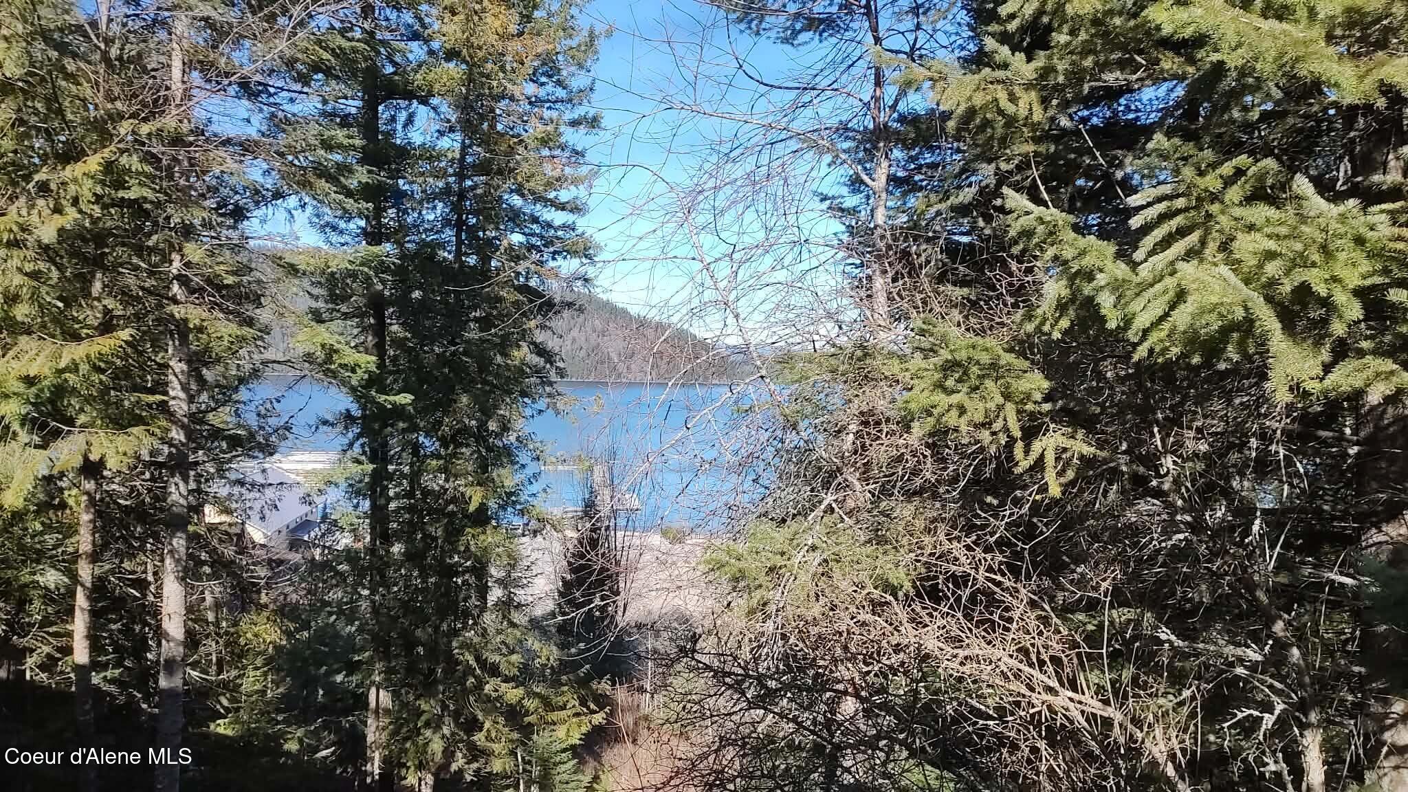 476 Clinton Avenue Coolin, ID 83821 - Photo 6 of 35 View from screened porch