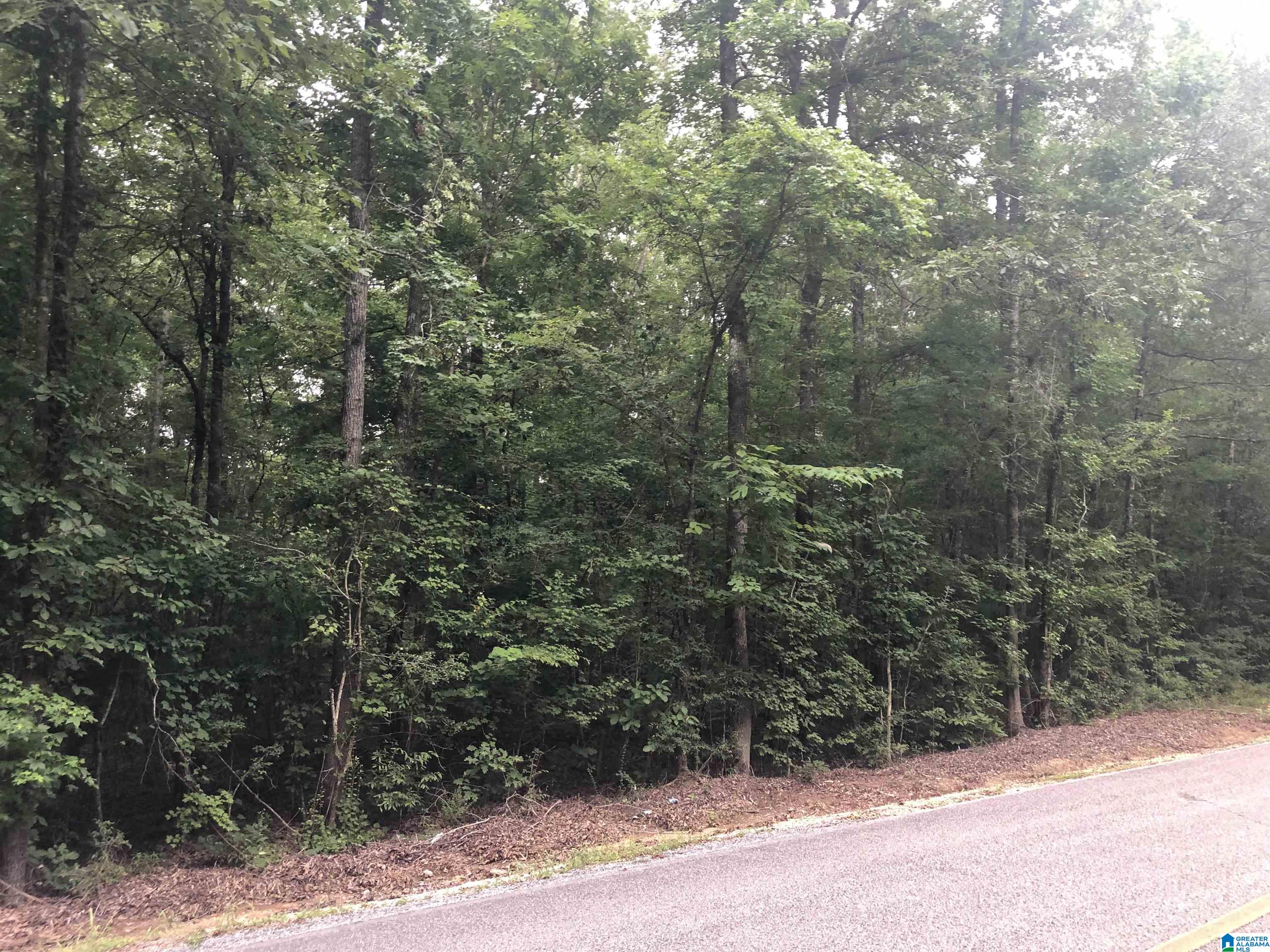 1 Higgins Road, Unit 1 Shelby, AL 35143 - Photo 13 of 21
