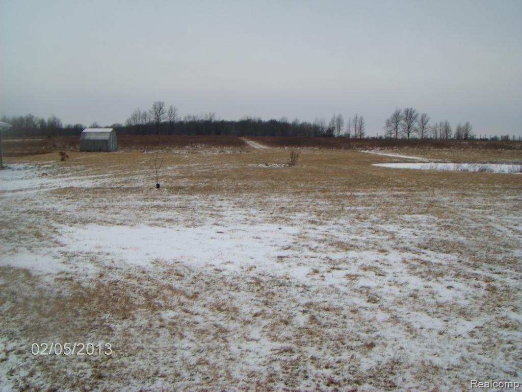 6397 Brown Road Avoca, MI 48006 - Photo 5 of 20 Back Yard