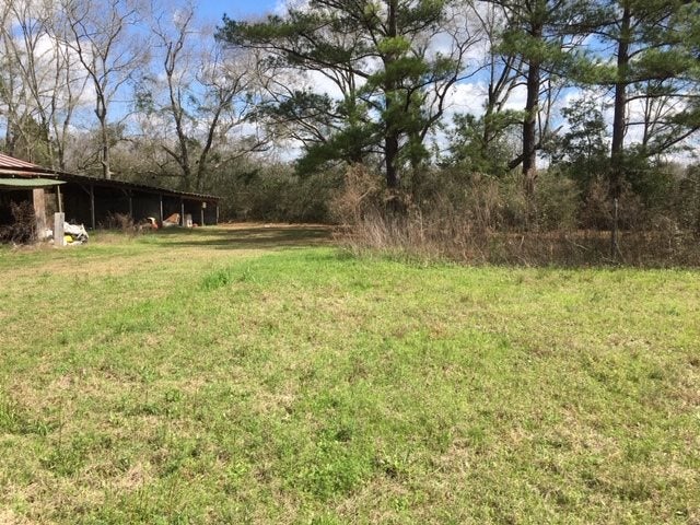 24264 Rosin Ridge Road Red Level, AL 36474 - Photo 16 of 16 Gallery Image 16