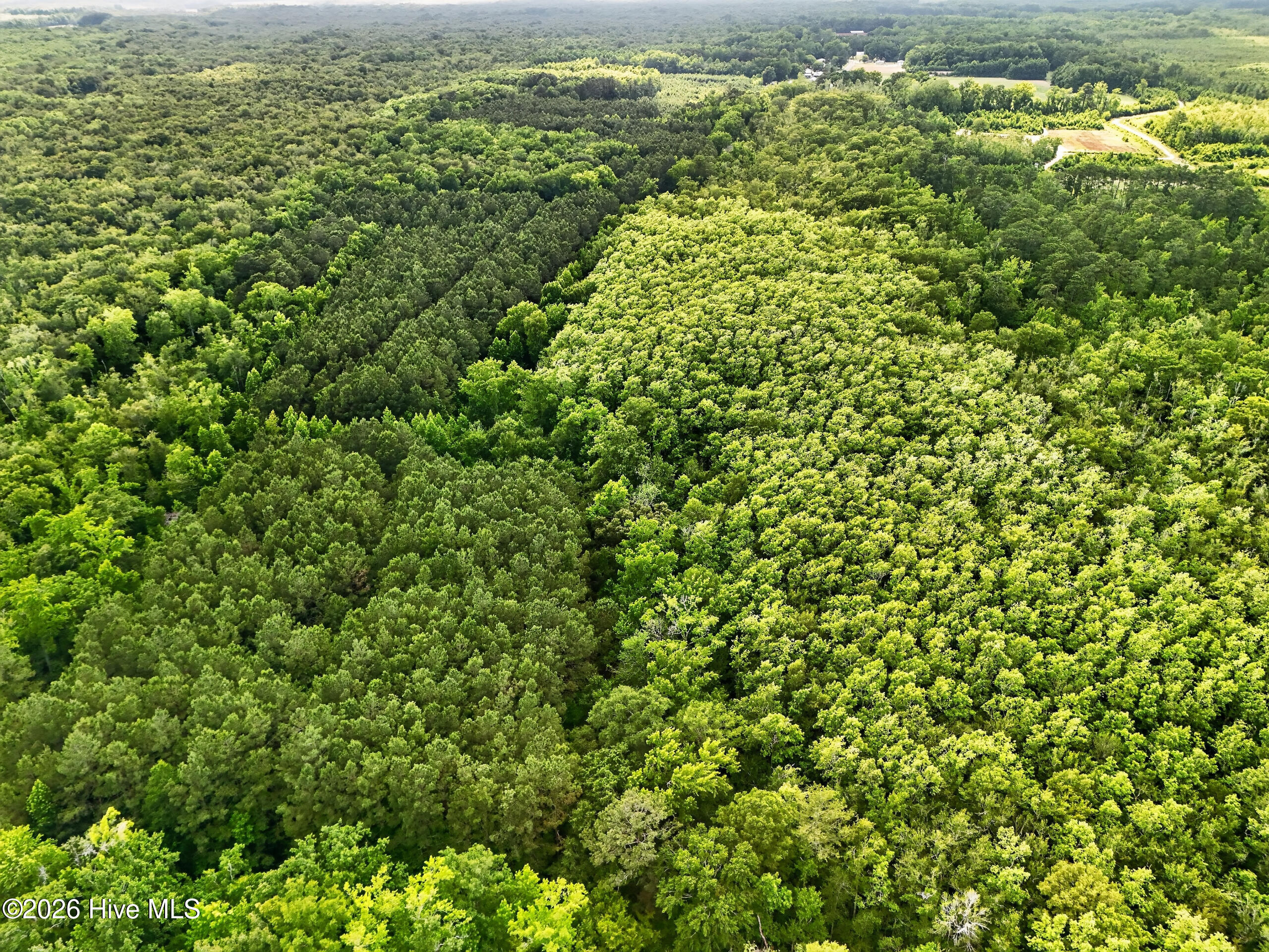 Tbd Pearidge Road Roper, NC 27970 - Photo 13 of 23