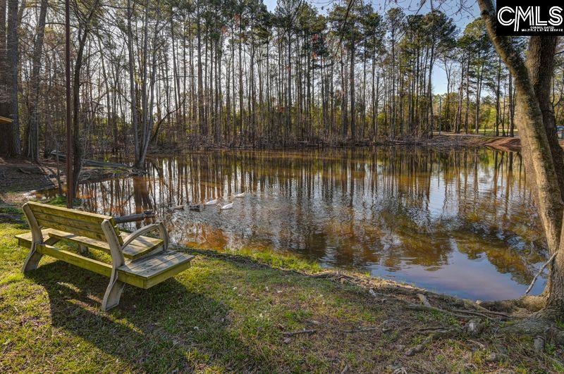 162 Baskin Hills Road Lexington, SC 29072 - Photo 15 of 58