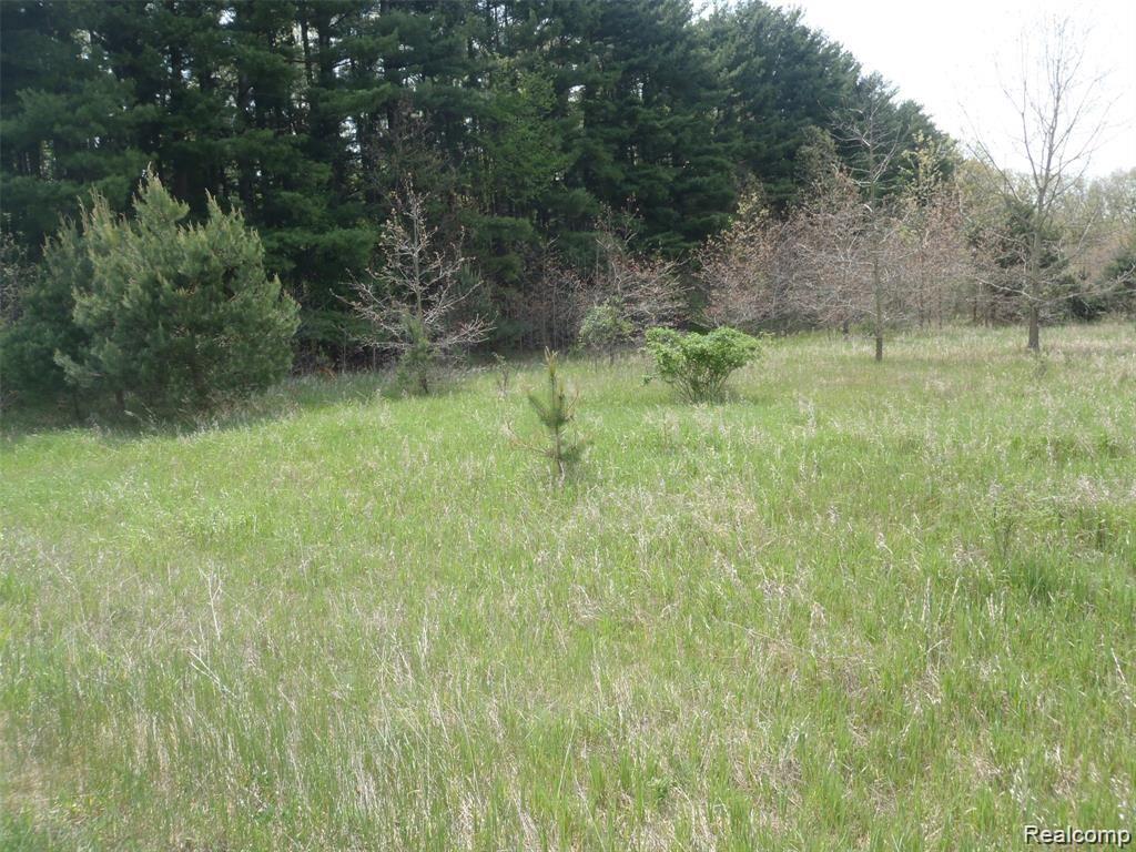 47 Bryde Drive Rives Junction, MI 49277 - Photo 4 of 8