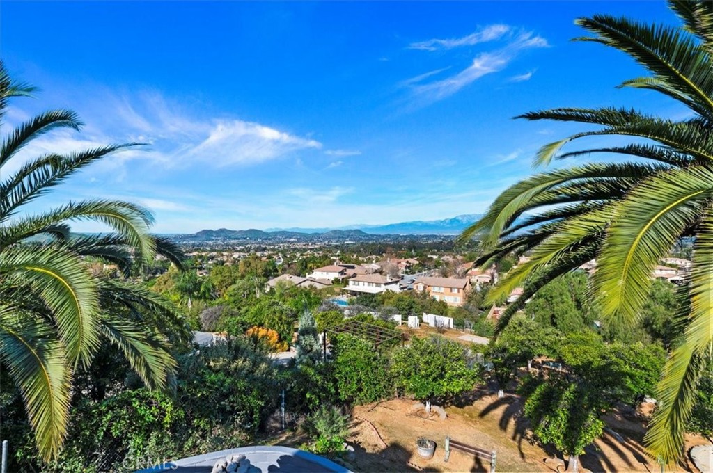 1793 Praed Street Riverside, CA 92503 - Photo 37 of 75 a view of a yard with plants and wooden fence