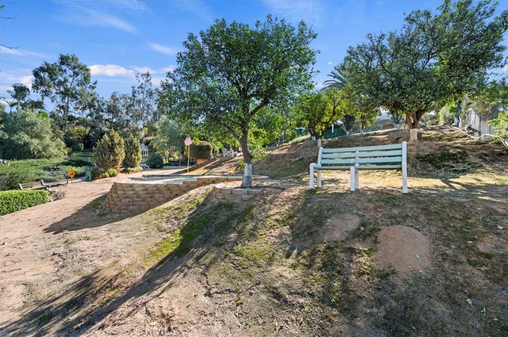 1793 Praed Street Riverside, CA 92503 - Photo 59 of 75 a park view with a bench