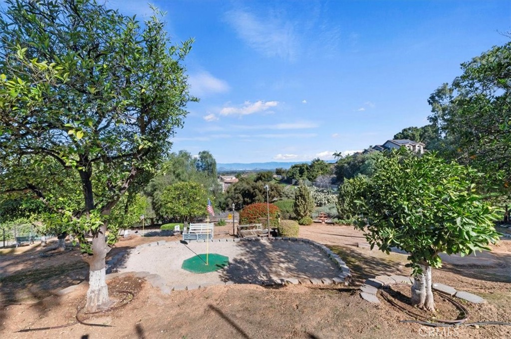 1793 Praed Street Riverside, CA 92503 - Photo 65 of 75 a view of a park with large trees