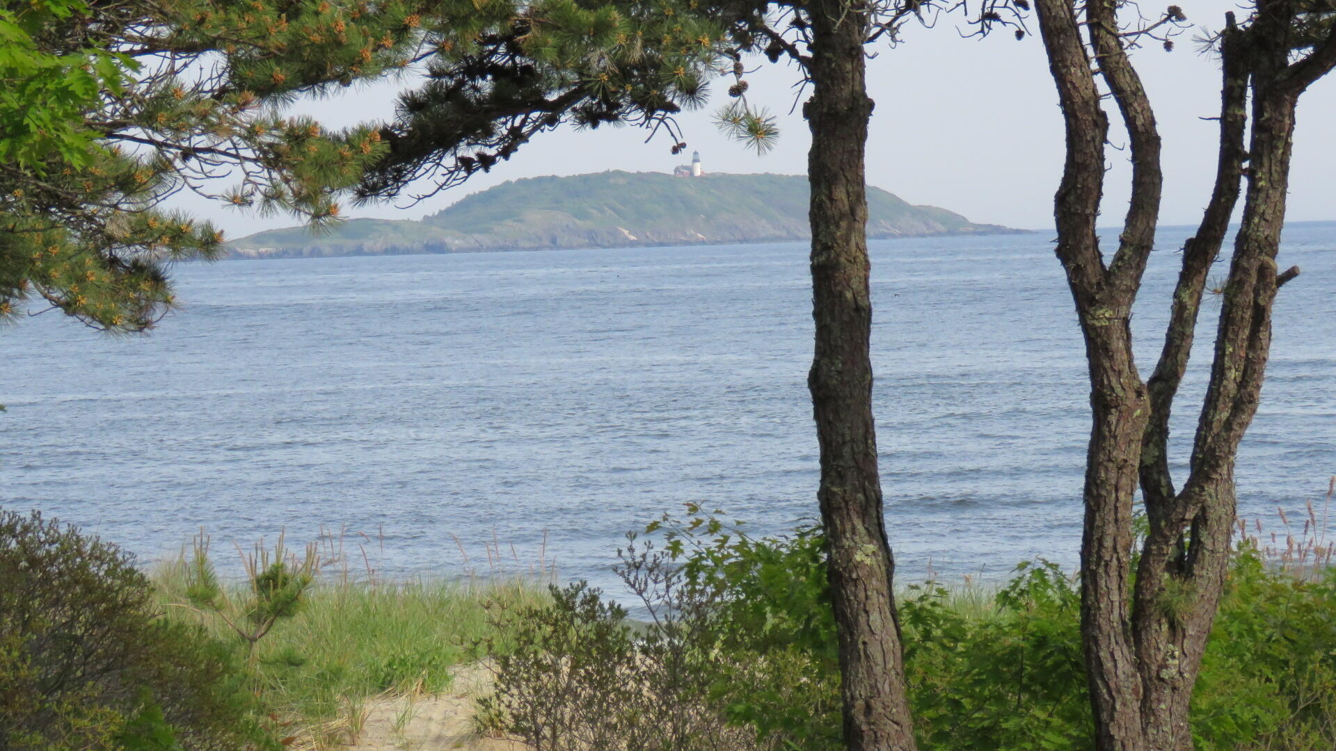 823 Popham Road Phippsburg, ME 04562 - Photo 10 of 119 IMG_4553