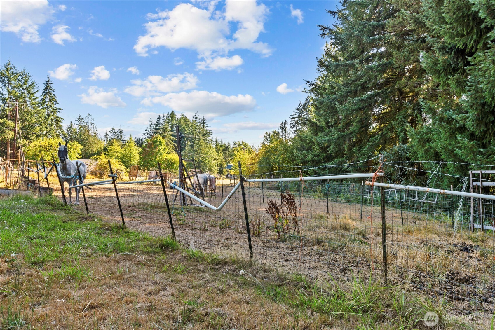 342 Chilvers Road Chehalis, WA 98532 - Photo 25 of 35 Gallery Image 25