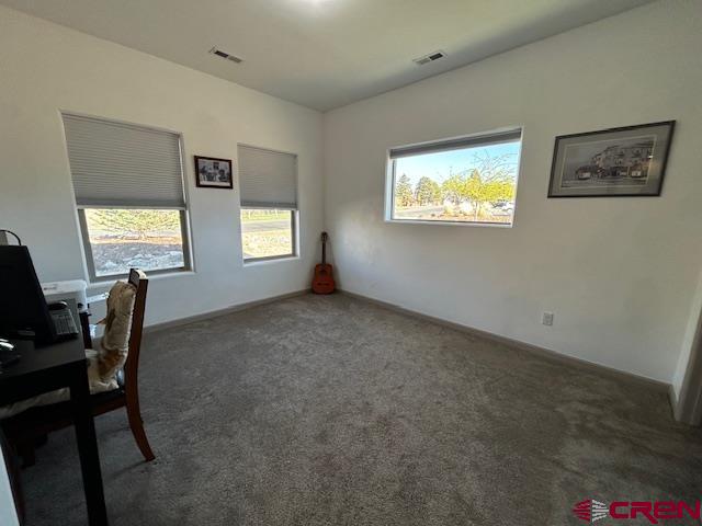 300 Southeast Sandstone Court Cedaredge, CO 81413 - Photo 27 of 38 a view of a livingroom with window and furniture