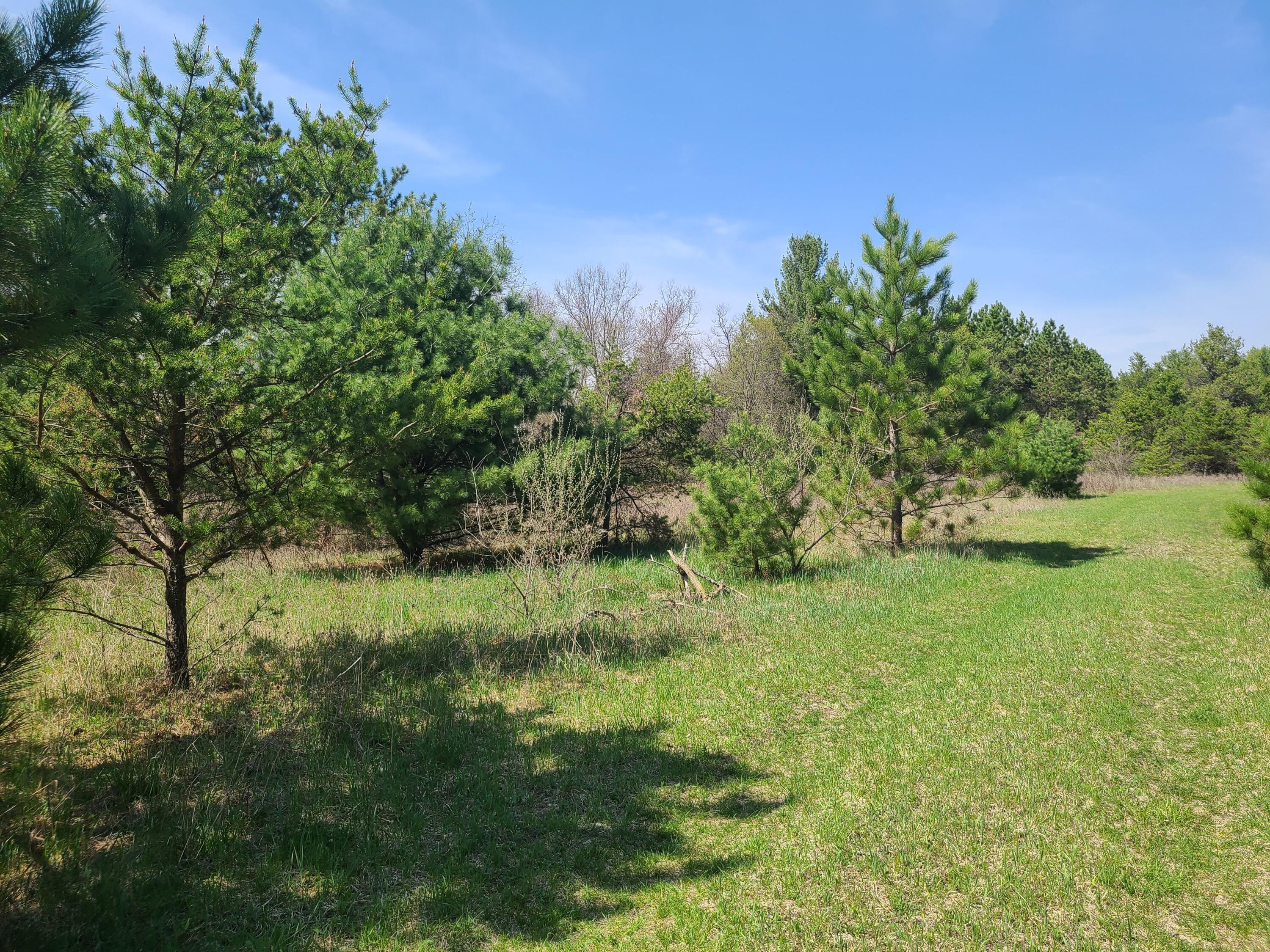 West Trask Lake Road Barton City, MI 48705 - Photo 8 of 13 Gallery Image 8