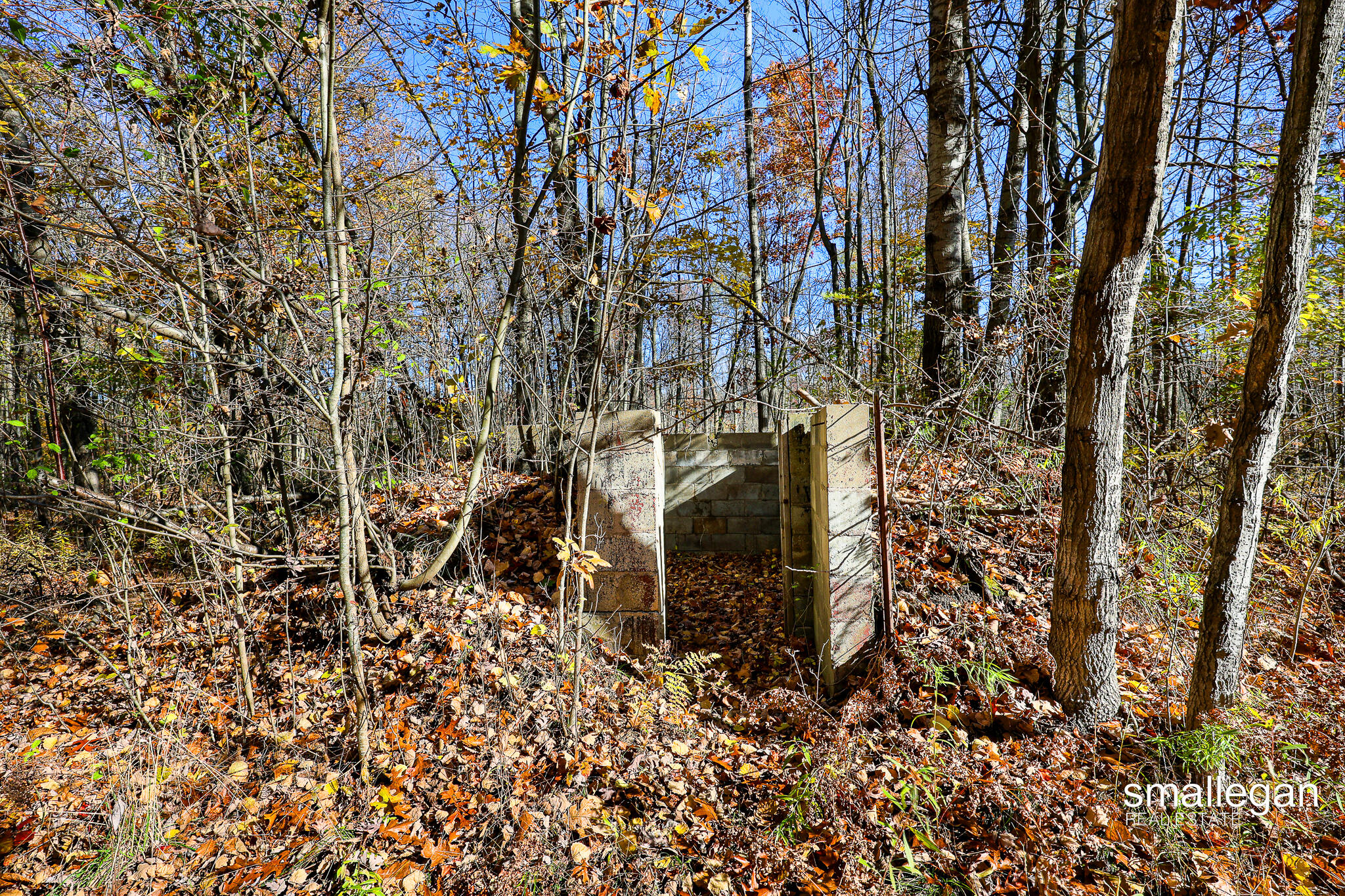 1455 North Bossett Road Ravenna, MI 49451 - Photo 5 of 18 IMG_3429