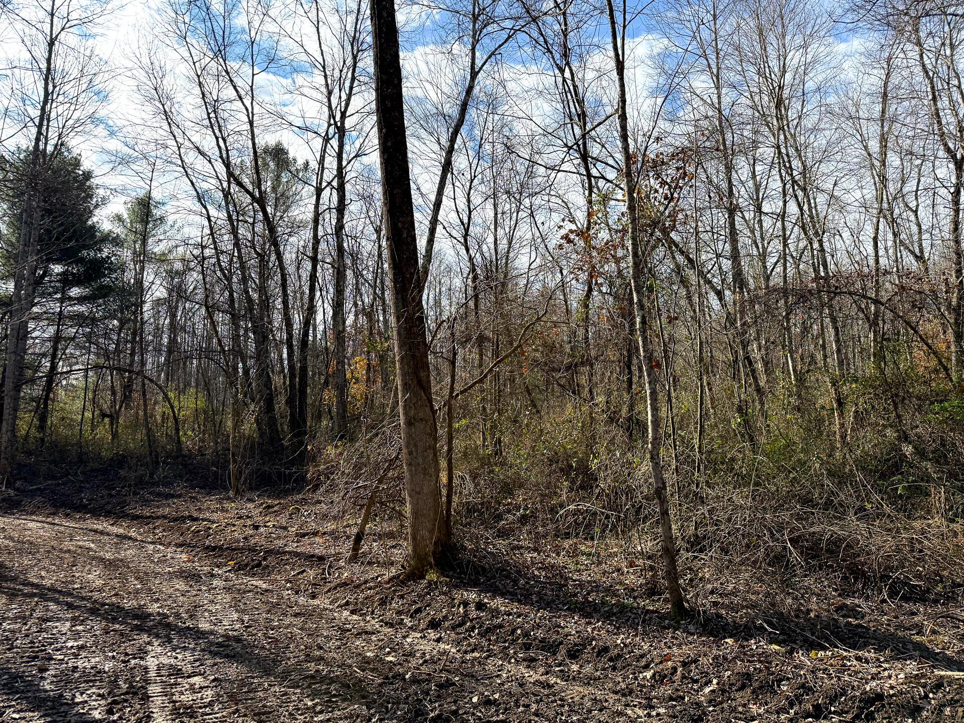 0 Dutch Ridge Road Southeast, Unit WOODS TURKEY RUN TRACT 4) New Lexington, OH 43764 - Photo 39 of 58 CT-39