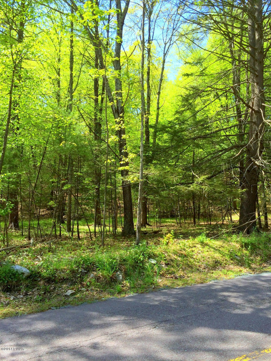 625 Foster Hill Road Milford, PA 18337 - Photo 1 of 6