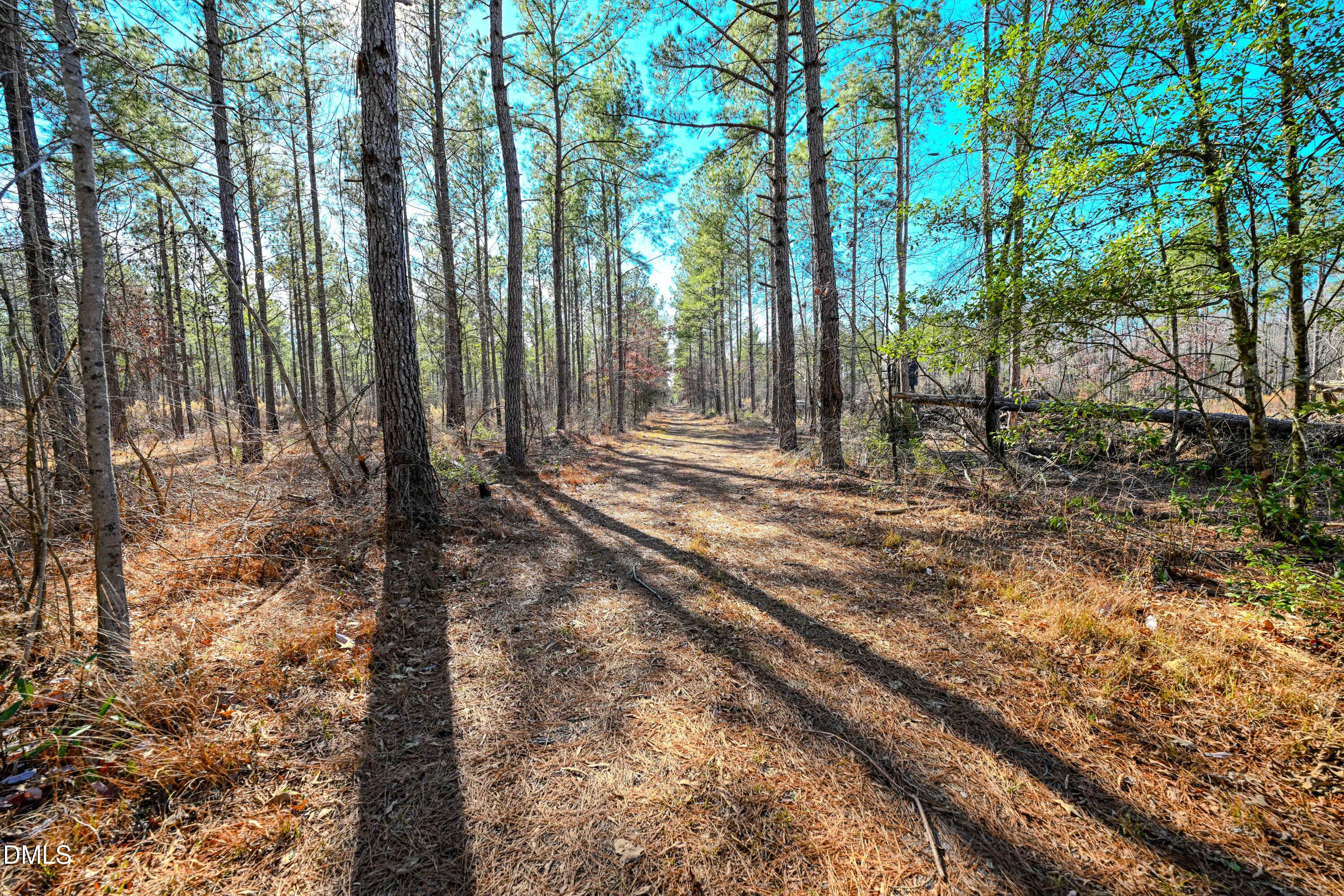2729 McNeill Hobbs Road Bunnlevel, NC 28323 - Photo 49 of 75 050